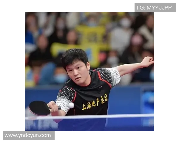 广州乒乓球队在冠军赛中的精彩表现与状态分析