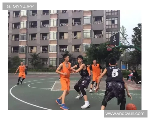 成都篮球队配合默契再创新高引领全国篮球新风潮