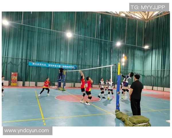 重庆排球队的团队协作之道：排球背后的默契与拼搏精神探秘